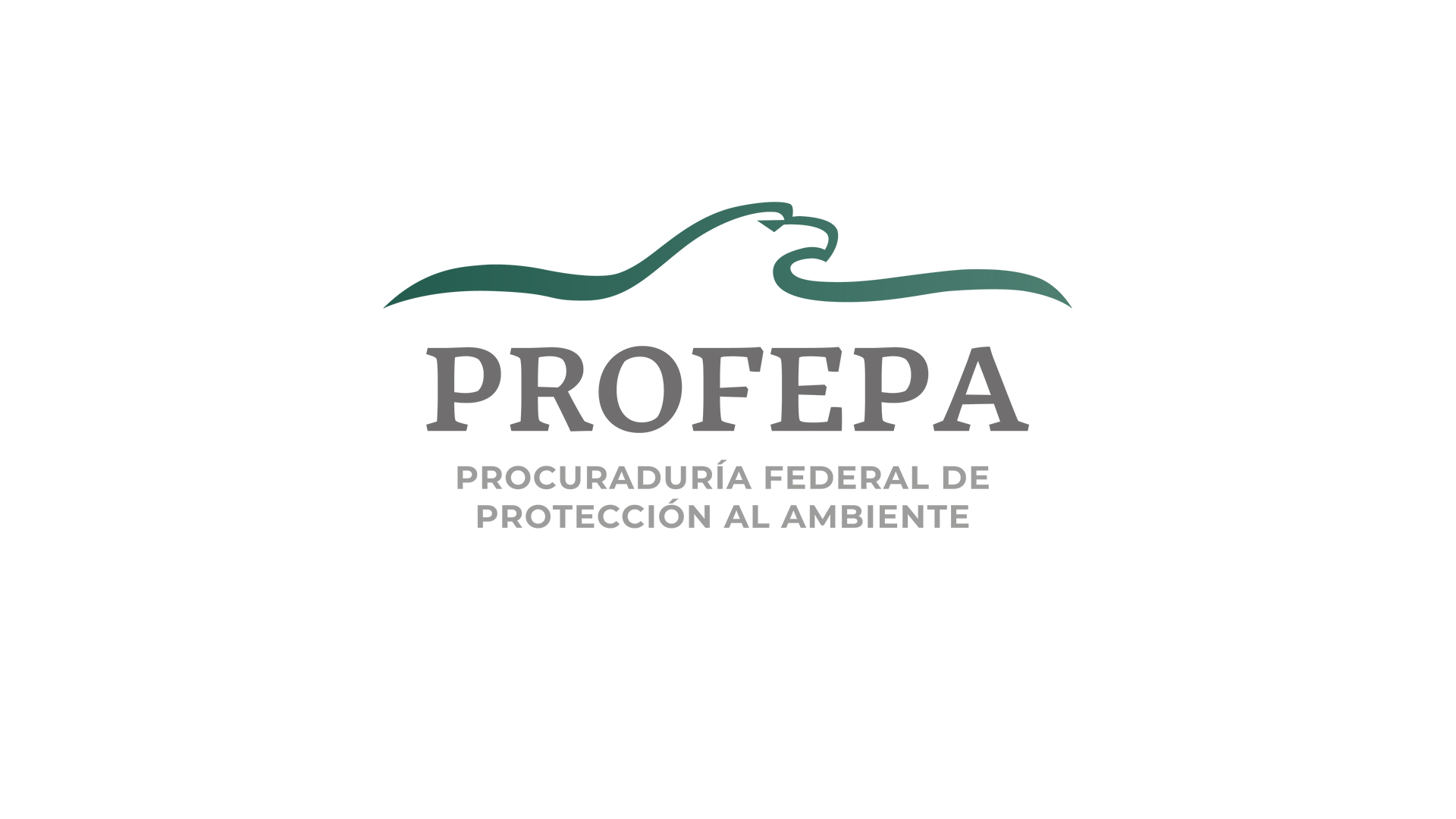 Comité de Información de la PROFEPA Comité de Información de la PROFEPA