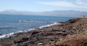 Playa