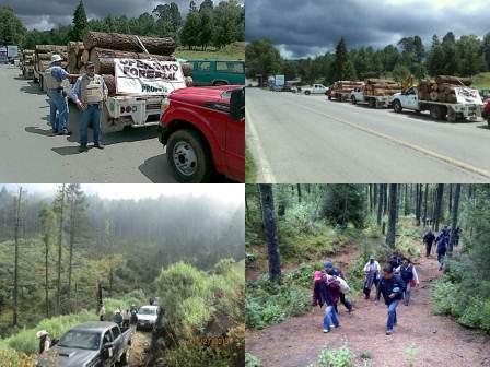 Recorrido de vigilancia dentro del programa contra la tala clandestina