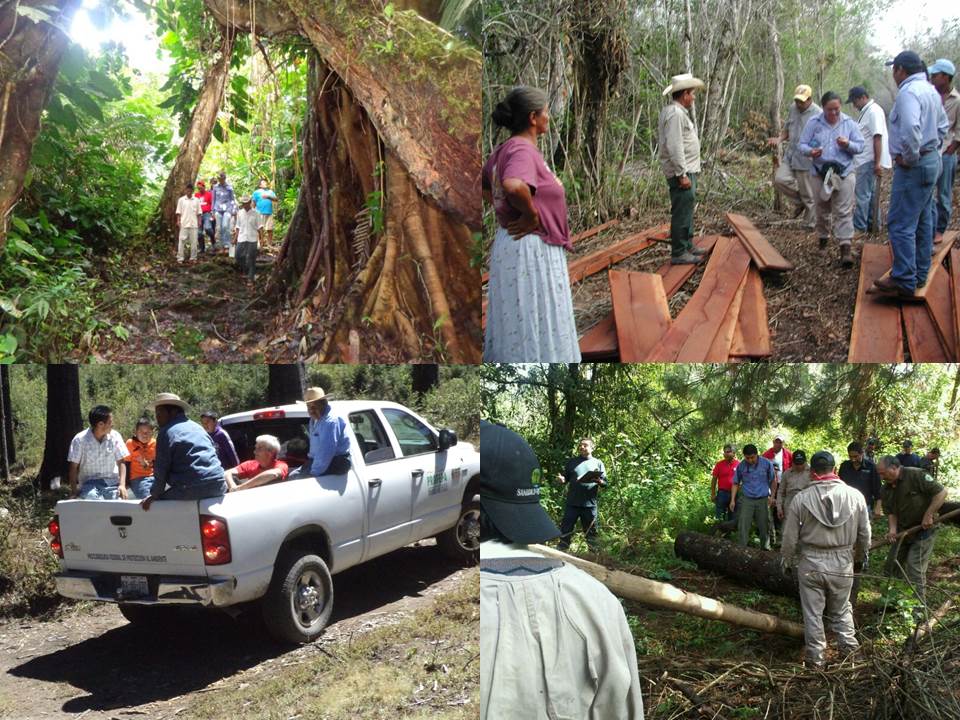 CVAP Comites de Vigilancia Ambiental Participativa