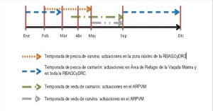 Temporada de Pesca en Vaquita Marina