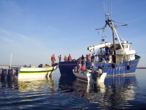 Lancha e interceptora en Vaquita Marina