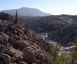 Punta Chivatito Zona desertica de Punta Chivatito