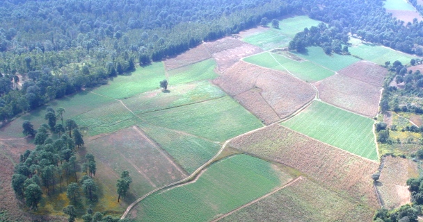 Fotografia aerea de parcelas 