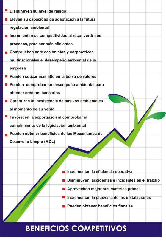 Beneficios Competitivos