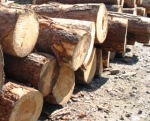 Icono de madera asegurada