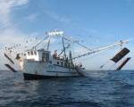 Barco camaronero
