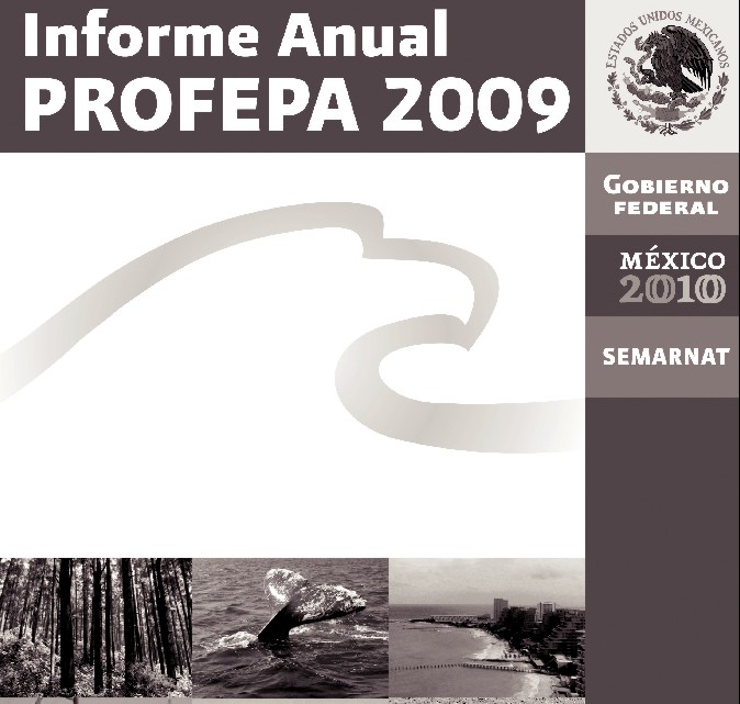 Informe Anual 2009