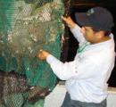 Inspeccion barco camaronero
