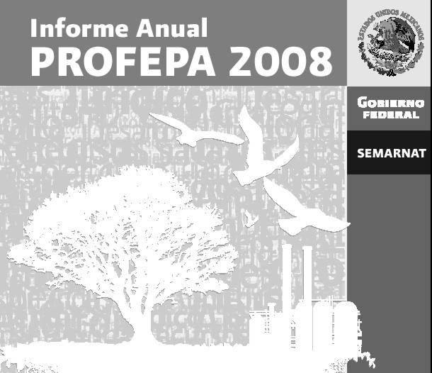 Informe Profepa 2008