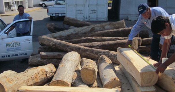 Aseguramiento de madera en Manzanillo Colima