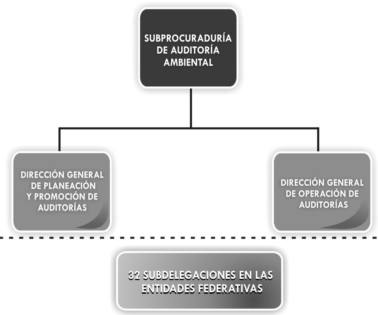 Organigrama