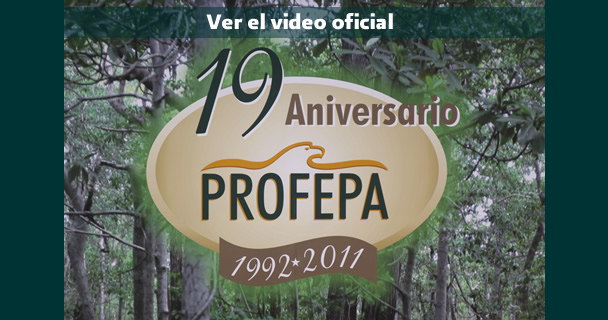 icono de video logo del 19 aniversario