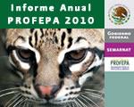 Portada de informe anual 2010