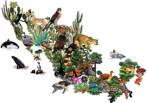 Diversidad biologica de México Mapa de la diversad biológica