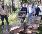 Liberacion fauna silvestre