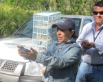 Liberacion de aves Colima