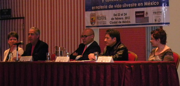 taller profepa