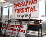 primer operativo nacional forestal 2012