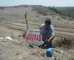 clausura profepa proyecto habitacional