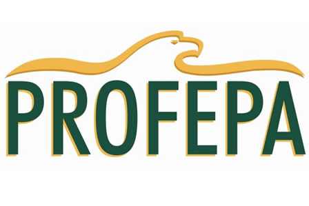 Logo profepa Logo profepa