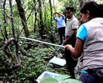 víboras en Chiapas