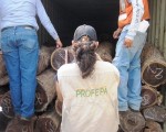 PROFEPA