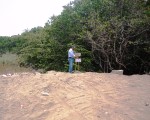 PROFEPA