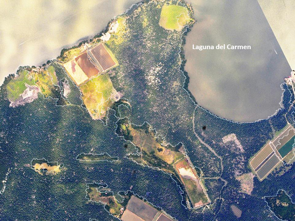 Laguna del Carmen