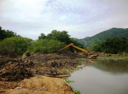 afectaciones a manglar