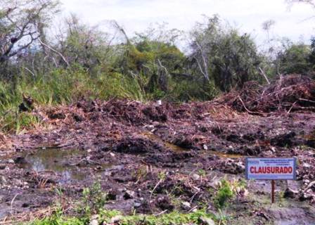 Clausura a obras y actividades en zonas de manglar