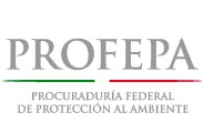 PROFEPA