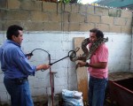 PROFEPA