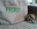 Profepa