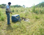 Profepa