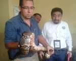 PROFEPA