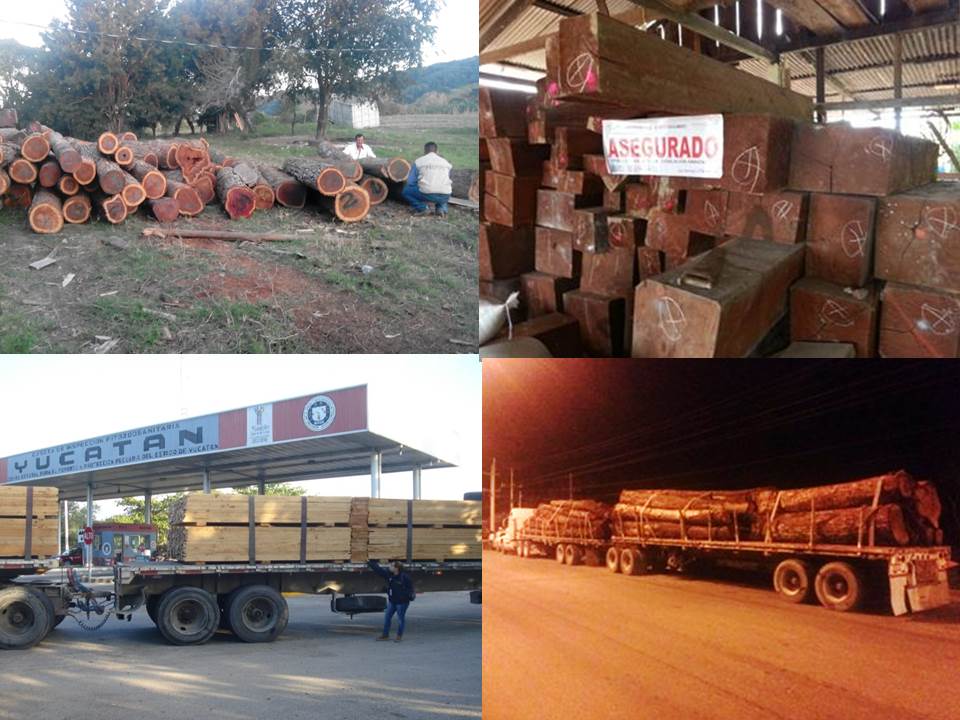 Operativo Frontera Sur Frontera Sur