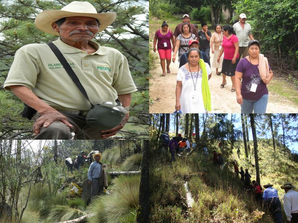 Comites de Vigilancia Ambiental Participativa Comites