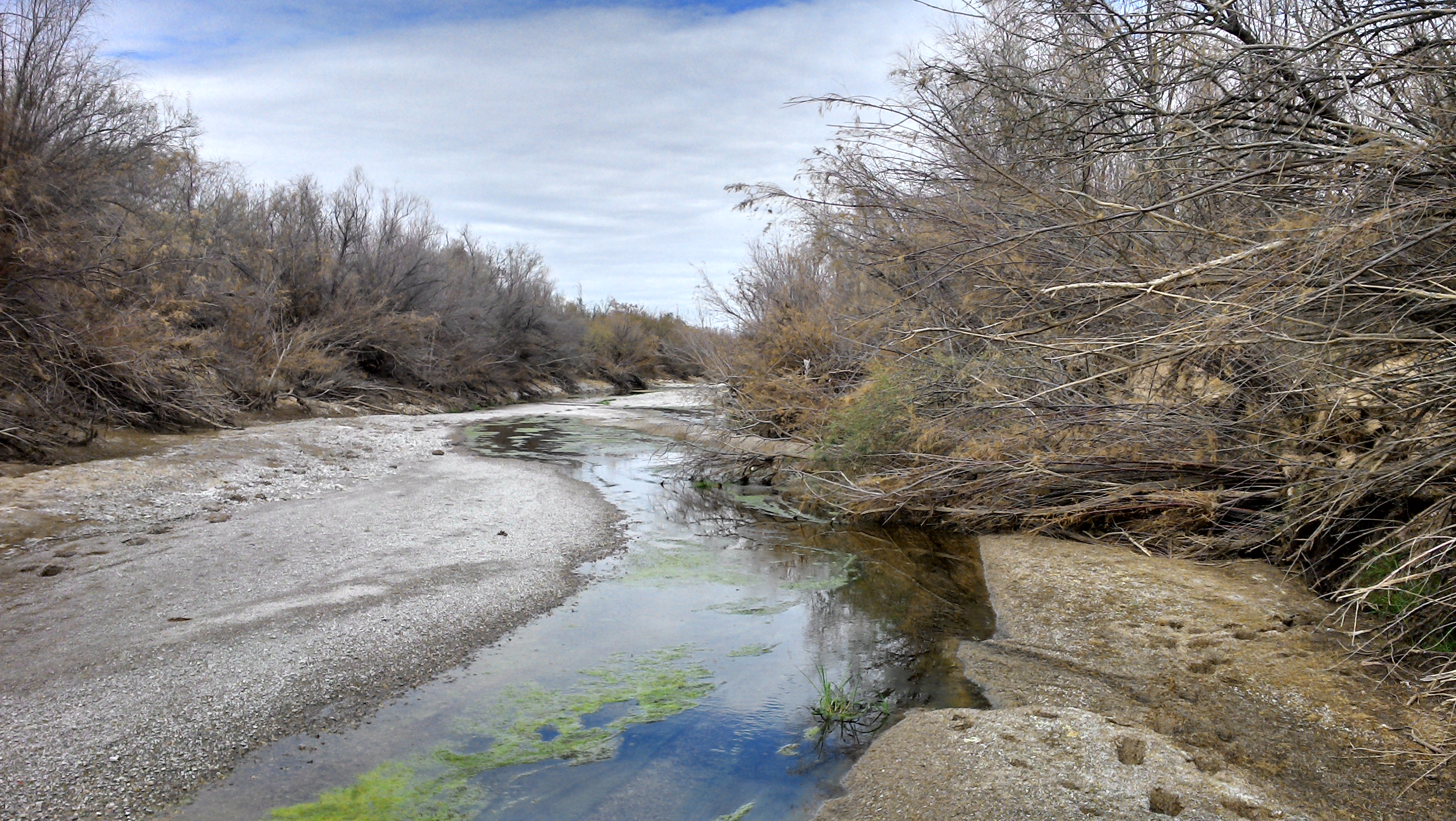 Sitio Ramsar - Agua Dulce, Sonora